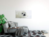shutterstock_19365151367DXdEjRSHqUEB_1280x1280.jpg