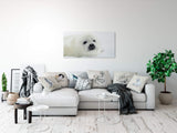 shutterstock_1936515136OnGbF6vsYesOF_1280x1280.jpg