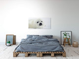 shutterstock_1936515136jpFkBYdWCgJqJ_1280x1280.jpg