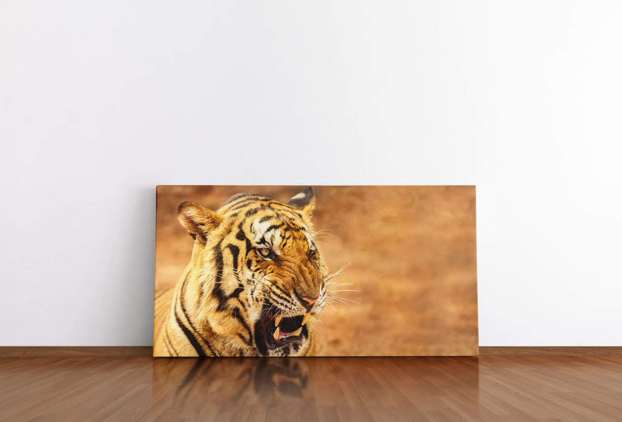 shutterstock_19386889240BzGfvCNvQKKG_1280x1280.jpg
