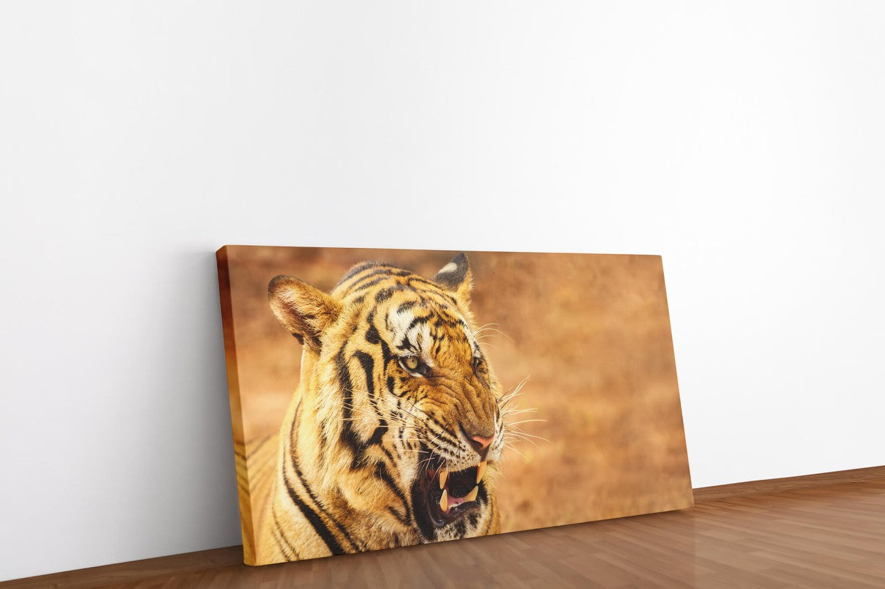 shutterstock_1938688924Gp8LmljrMFdC2_1280x1280.jpg