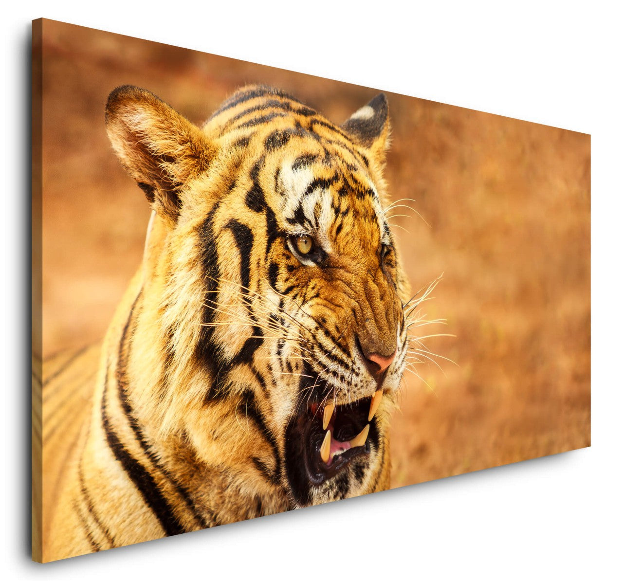 shutterstock_1938688924GsIzq64C7tSdw_1280x1280.jpg