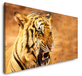 shutterstock_1938688924GsIzq64C7tSdw_1280x1280.jpg