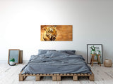shutterstock_1938688924OUlQ4AU5UCxWu_1280x1280.jpg