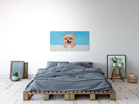 shutterstock_1940822989CJMu7RbvGrrUc_1280x1280.jpg