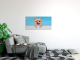 shutterstock_1940822989GvJ8tB21j8VWC_1280x1280.jpg