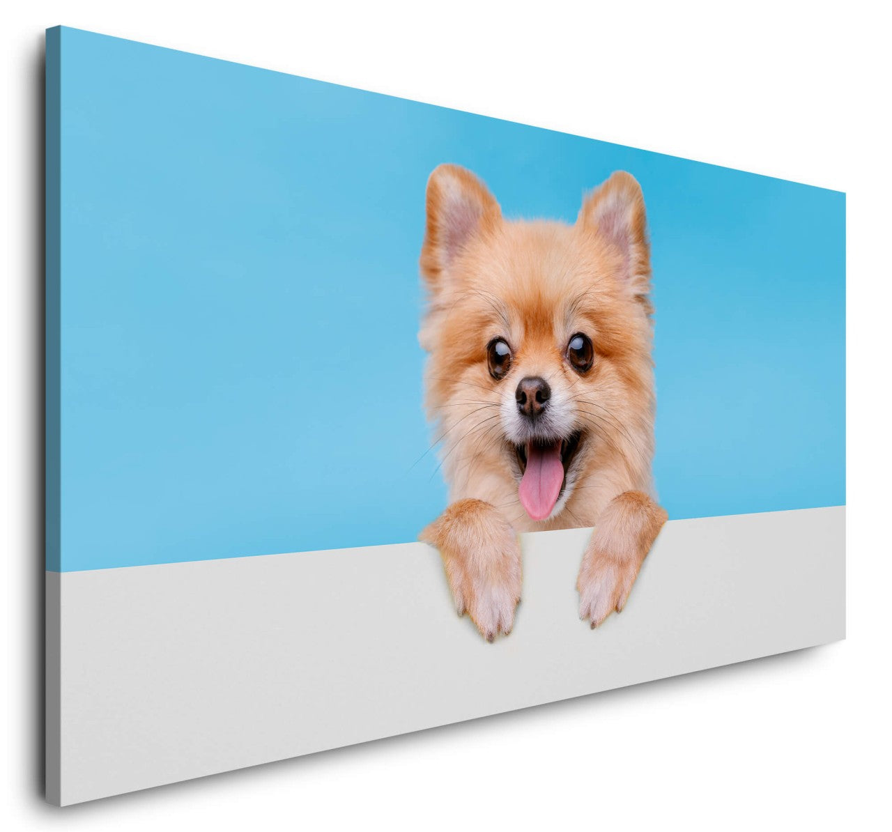 shutterstock_1940822989LK18uKT3UWCK9_1280x1280.jpg