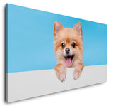 shutterstock_1940822989LK18uKT3UWCK9_1280x1280.jpg