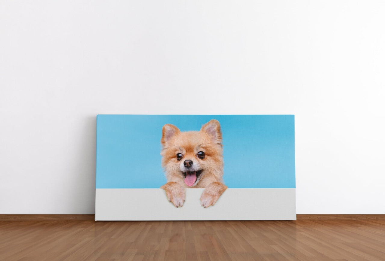 shutterstock_1940822989MsBkUv2SsRofw_1280x1280.jpg