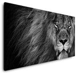 shutterstock_1944310360gRHCpEkyAOjRX_1280x1280.jpg