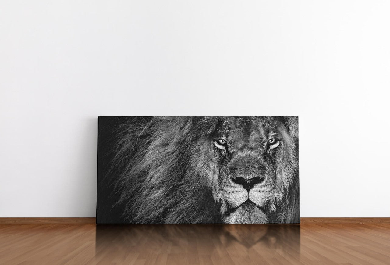 shutterstock_1944310360r8oWxZAeeeGDn_1280x1280.jpg