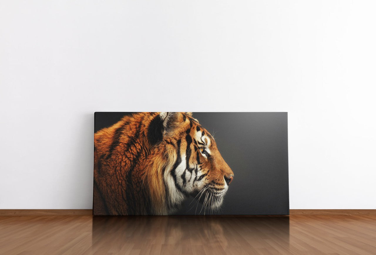 shutterstock_1953713884Cxc7t5Gi7SaPR_1280x1280.jpg