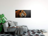 shutterstock_1953713884FR8MGpt24hMcx_1280x1280.jpg