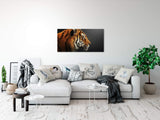shutterstock_1953713884Rci9uHOSN50nq_1280x1280.jpg