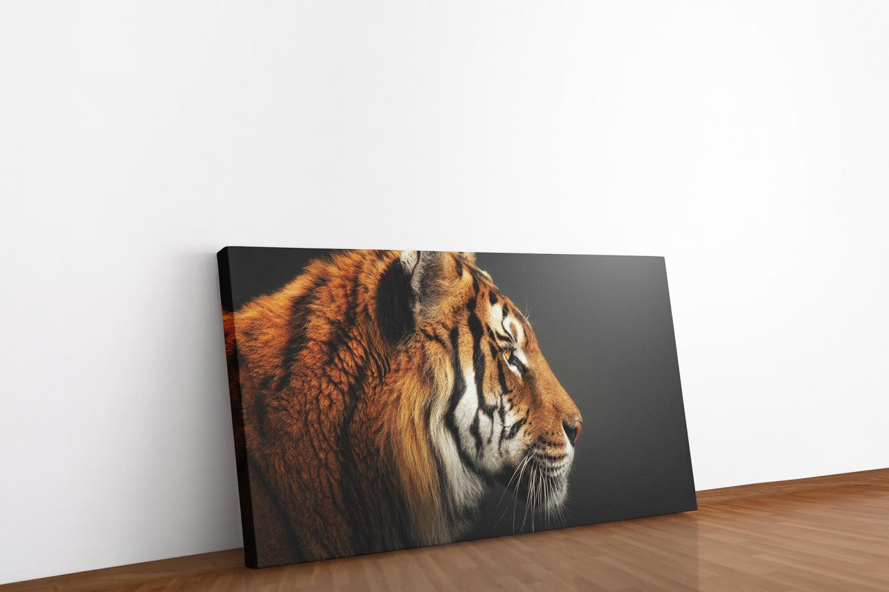 shutterstock_1953713884T8oGeDwSPlfef_1280x1280.jpg