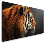 shutterstock_1953713884idVCarH6B7br4_1280x1280.jpg