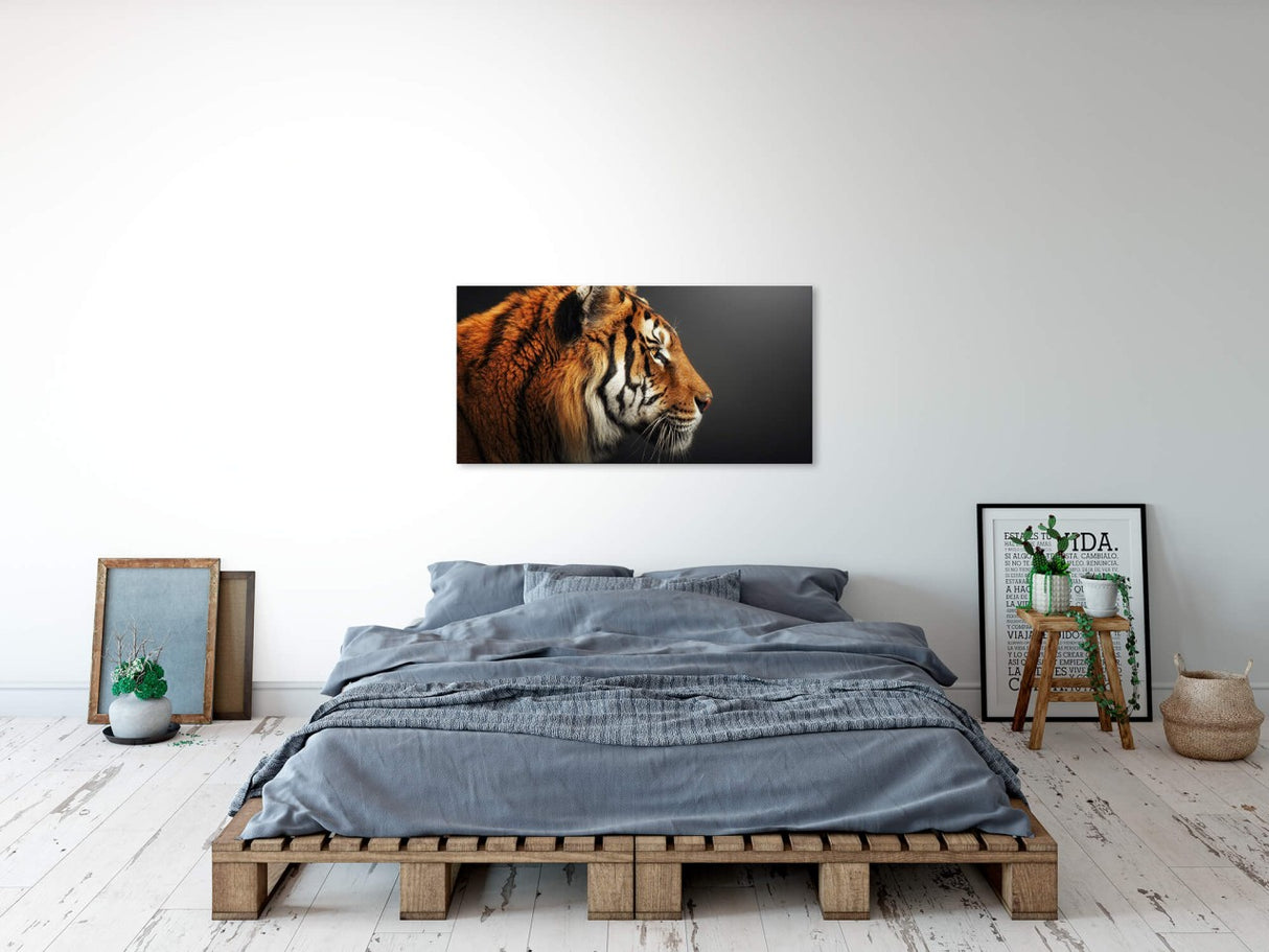 shutterstock_1953713884xHiNih9J0ScCs_1280x1280.jpg