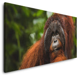 shutterstock_1966573972D47JN6WXlxqjU_1280x1280.jpg