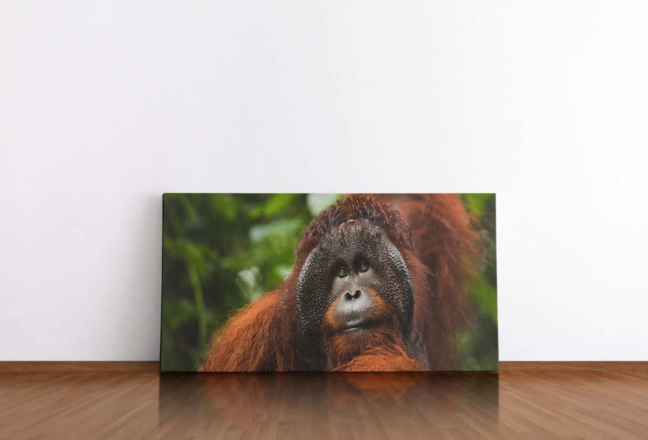 shutterstock_1966573972EaSxkLnk5HejG_1280x1280.jpg