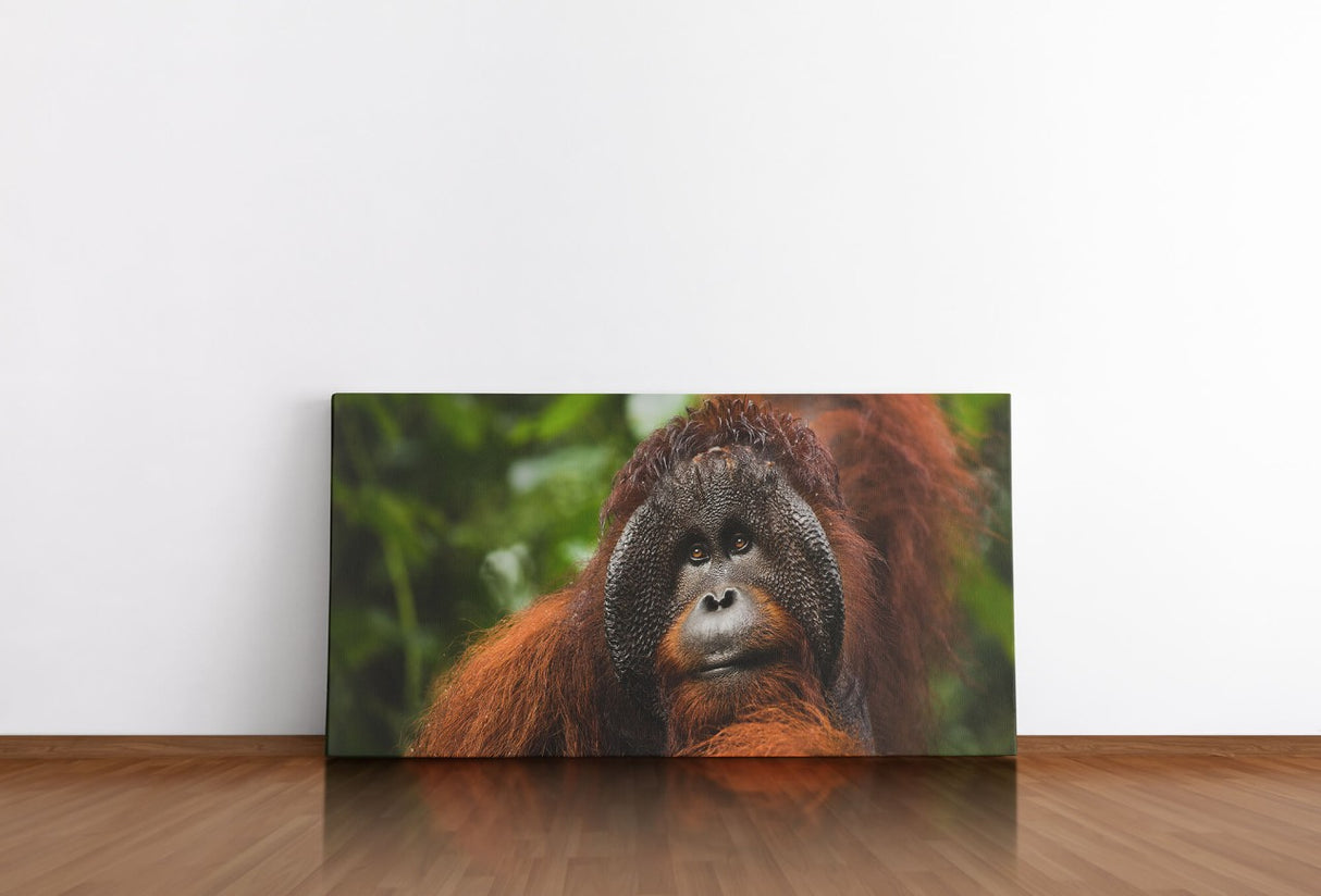 shutterstock_1966573972EaSxkLnk5HejG_1280x1280.jpg