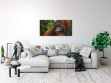 shutterstock_1966573972H5Took5m4op0p_1280x1280.jpg