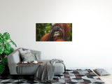 shutterstock_1966573972WNs6dA9cIxPin_1280x1280.jpg