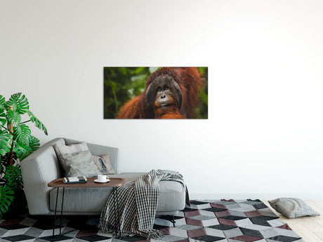 shutterstock_1966573972WNs6dA9cIxPin_1280x1280.jpg