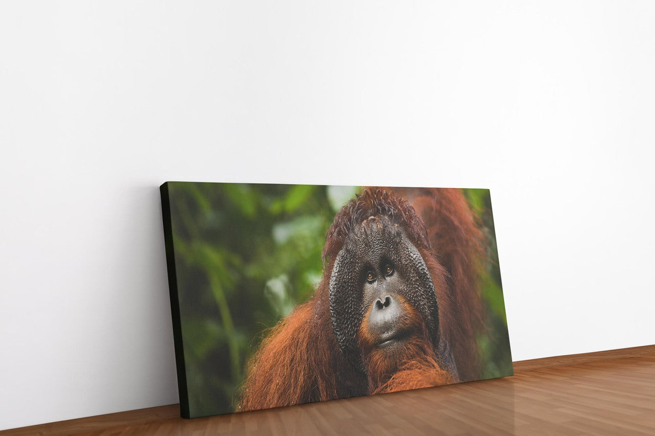 shutterstock_1966573972ZtmzDcnJeH04h_1280x1280.jpg