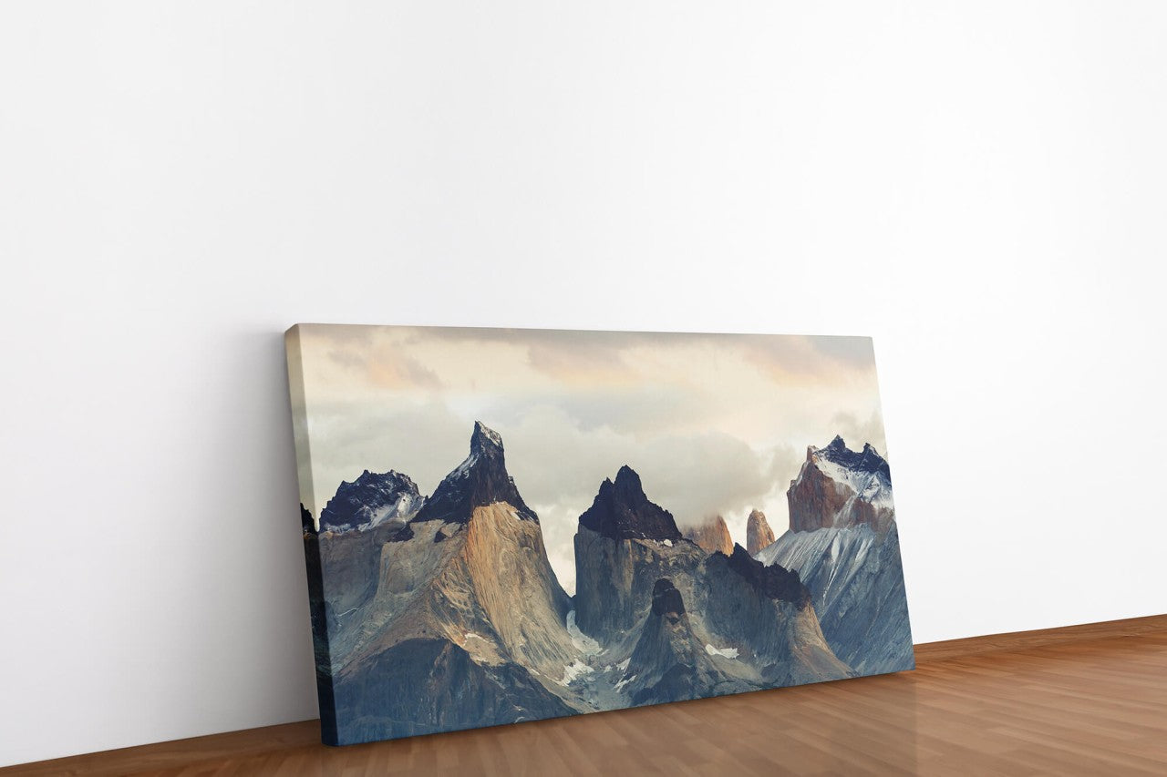 shutterstock_19721659558RLWjJNZ5cLVQ_1280x1280.jpg