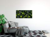 shutterstock_1975778945RXuvjlRTdaHBX_1280x1280.jpg