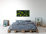 shutterstock_1975778945vHKNW4SKsSuWW_1280x1280.jpg