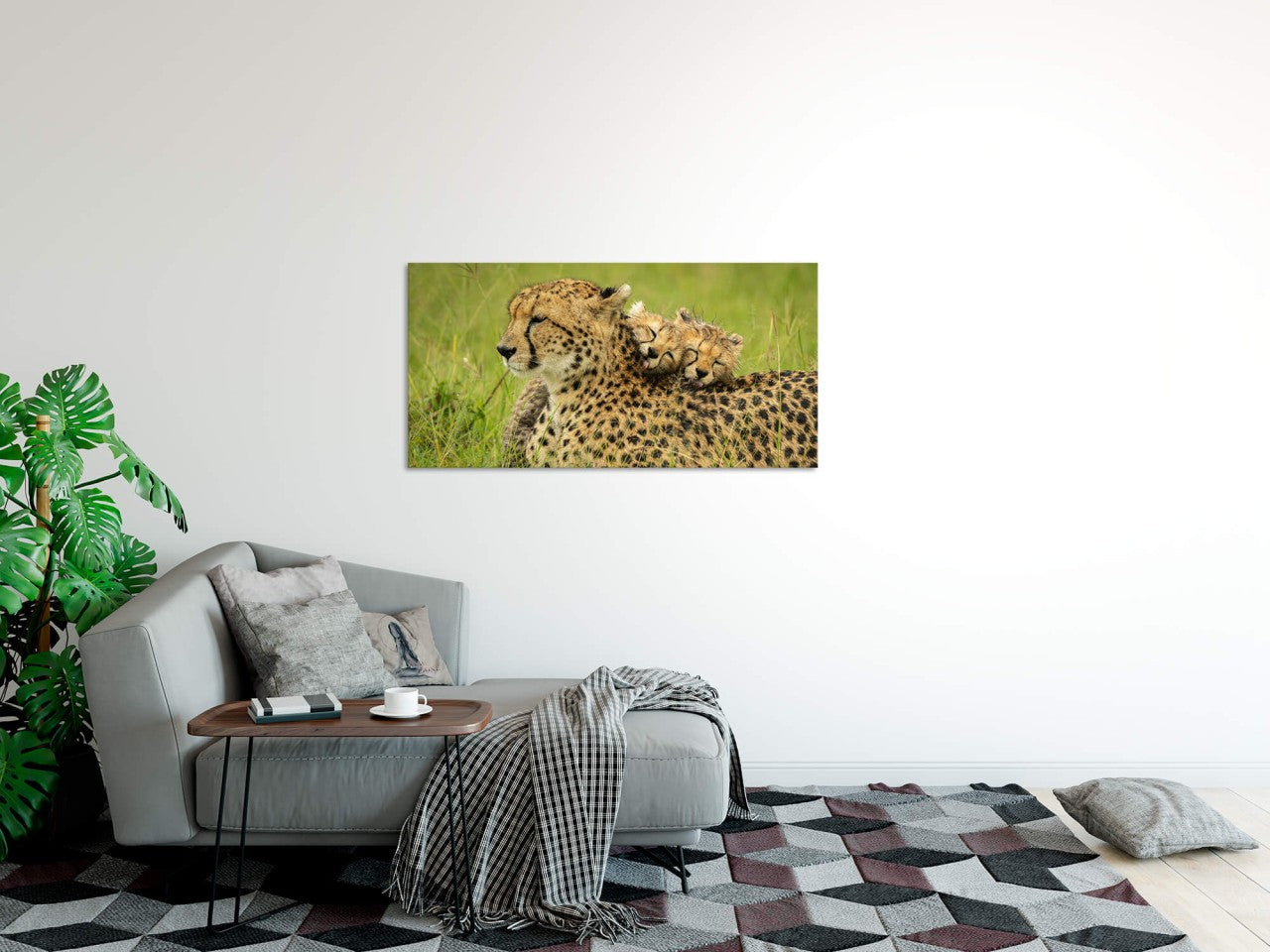 shutterstock_19818492860WAhpU812aix8_1280x1280.jpg