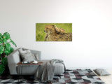 shutterstock_19818492860WAhpU812aix8_1280x1280.jpg