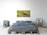 shutterstock_19818492865gSTXb7X3lHBh_1280x1280.jpg