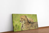 shutterstock_1981849286NTAPenSB6cdpV_1280x1280.jpg