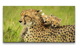 shutterstock_1981849286_1280x1280.jpg