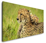 shutterstock_1981849286hU5iJvOBdKVsw_1280x1280.jpg