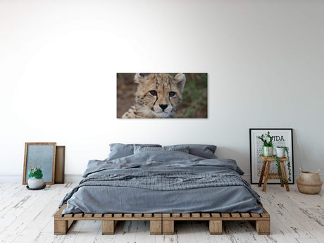 shutterstock_1985092949iQSjK5skHKhJl_1280x1280.jpg