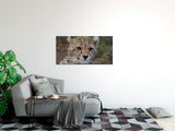 shutterstock_1985092949ygasHNklCMY4Q_1280x1280.jpg