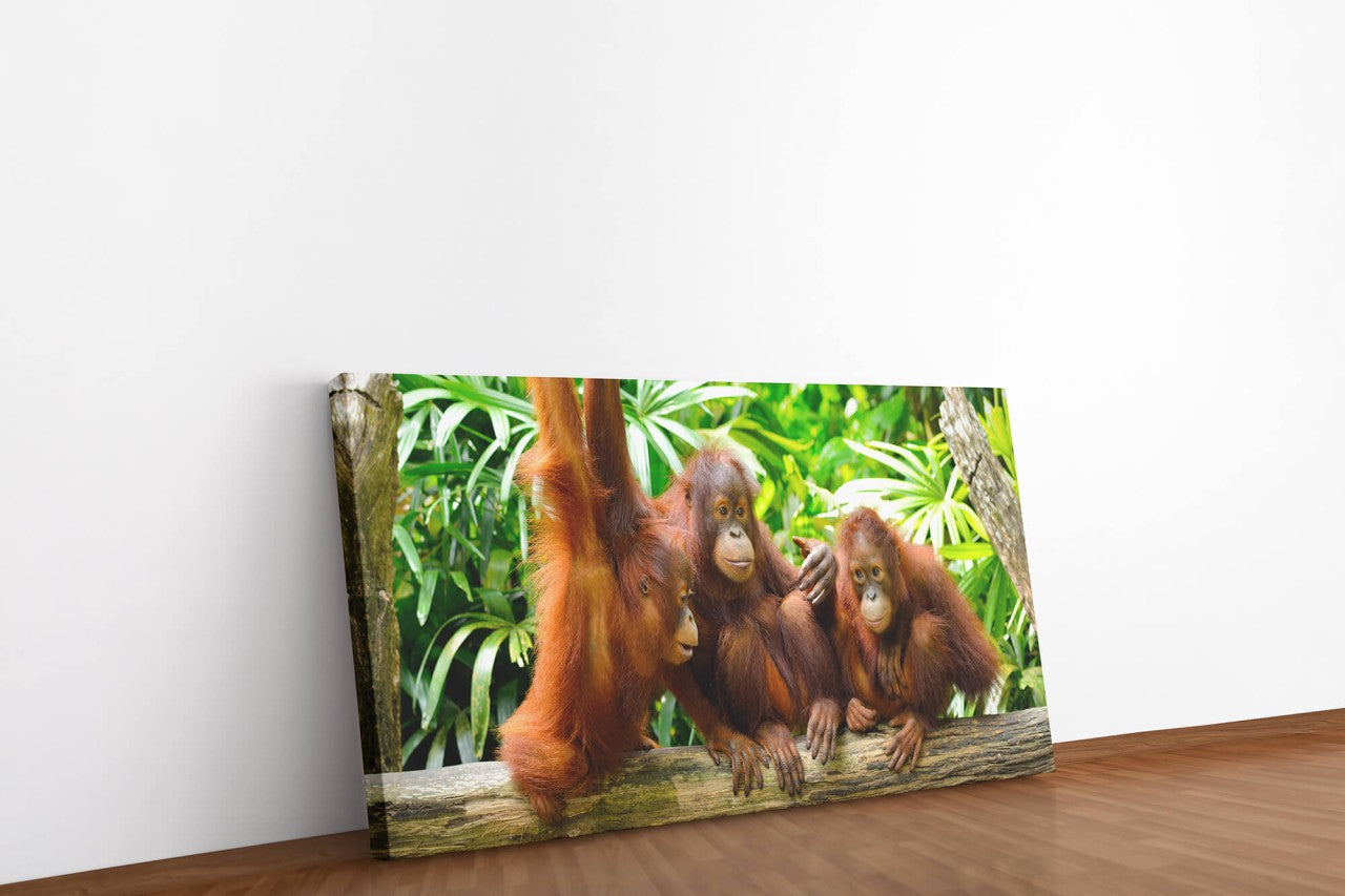 shutterstock_198517937AOPJszIHU9JyV_1280x1280.jpg