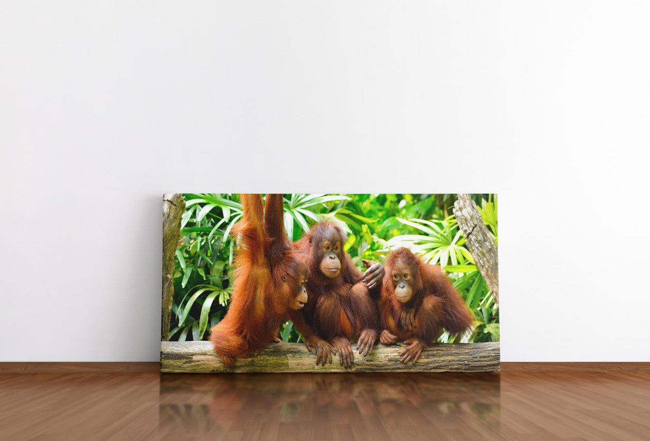 shutterstock_198517937ijXvY9uwuFtr2_1280x1280.jpg