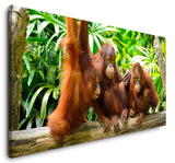 shutterstock_198517937rXdzEMGhITOIP_1280x1280.jpg