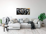 shutterstock_19987680747rtEuYS815DEl_1280x1280.jpg