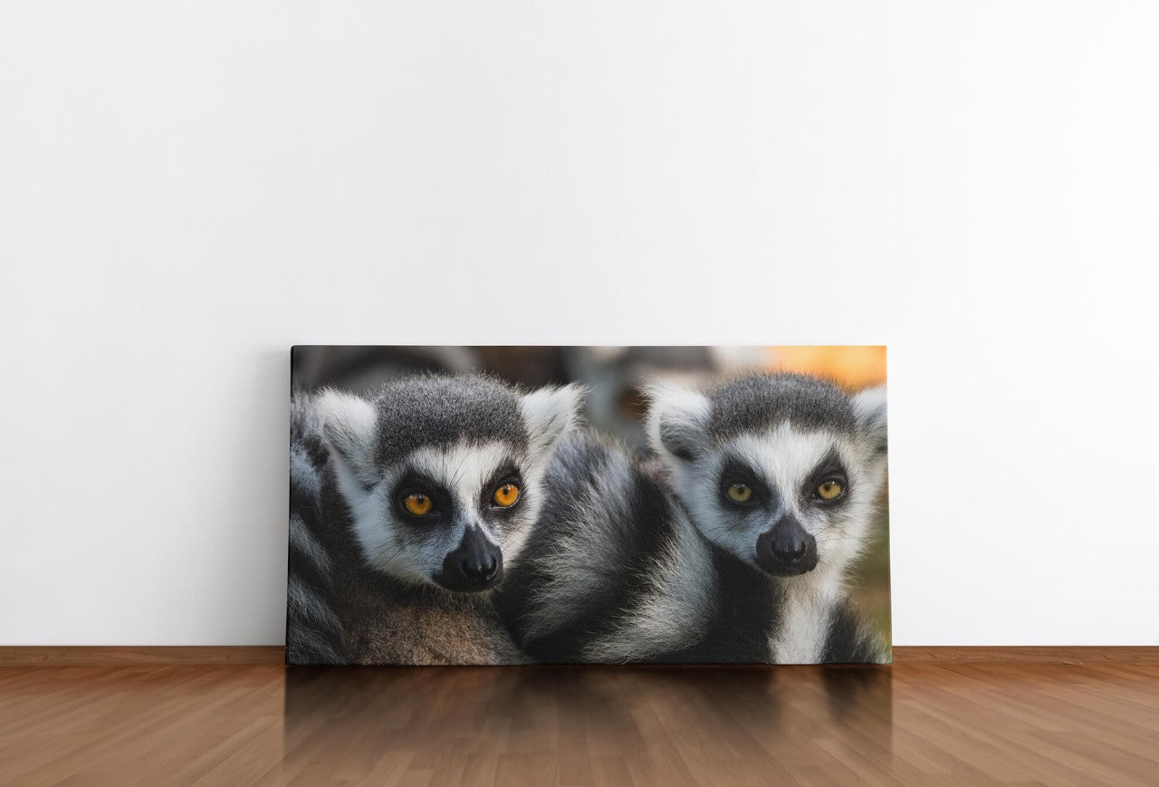 shutterstock_1998768074F64OeNLZ2zNSm_1280x1280.jpg