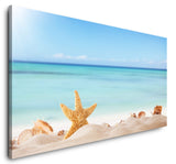 shutterstock_2005367245Dg4V65RugLbj_1280x1280.jpg