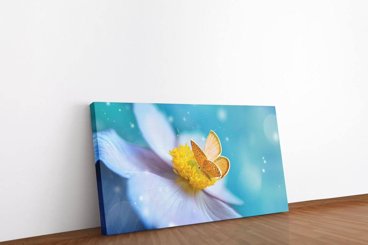 shutterstock_2009069417UiHVgnc9bueUw_1280x1280.jpg