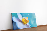 shutterstock_2009069417UiHVgnc9bueUw_1280x1280.jpg
