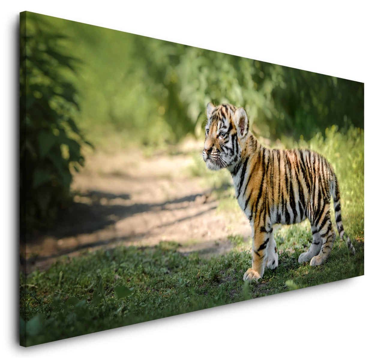 shutterstock_20312305079f6cznPtHw1xW_1280x1280.jpg