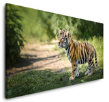 shutterstock_20312305079f6cznPtHw1xW_1280x1280.jpg