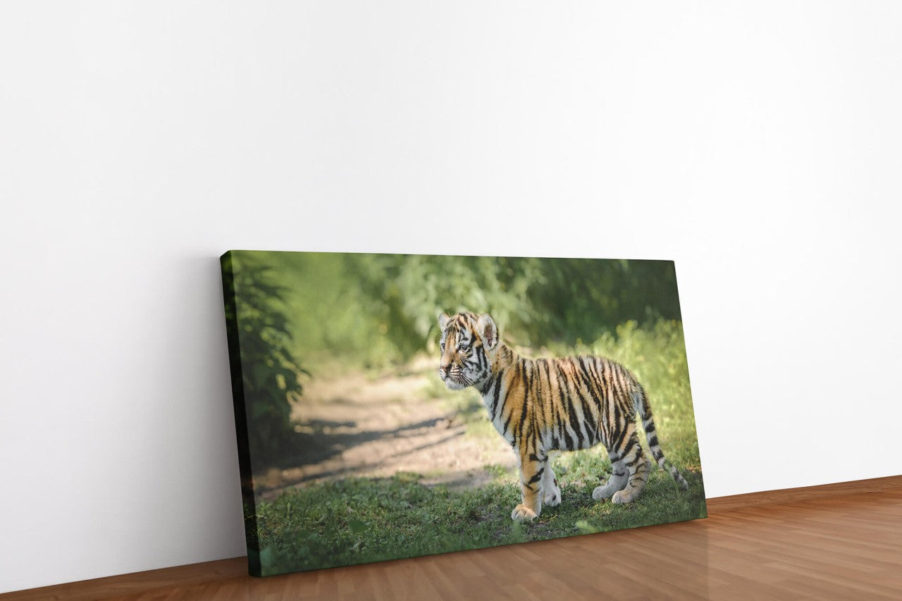 shutterstock_2031230507kvIB2S3k7k0VF_1280x1280.jpg